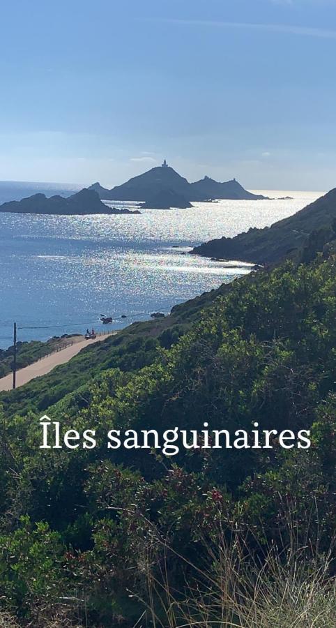 Magnifique Appartement Vue Mer, Spacieux Et Traversant アジャクシオ エクステリア 写真